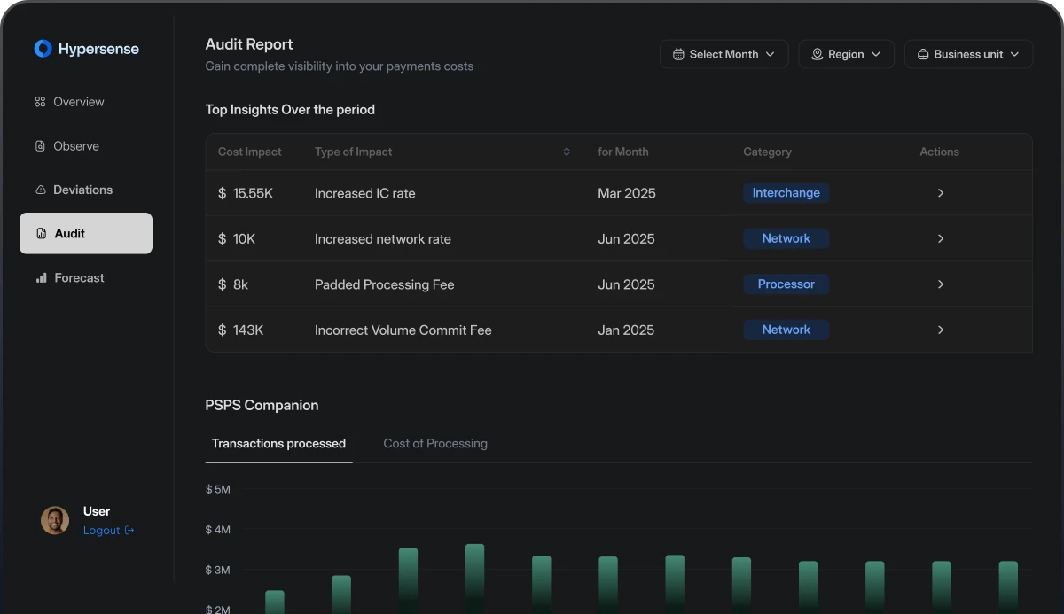 Hypersense audit report showing payment cost impacts, fee categories, and processing volumes across providers.